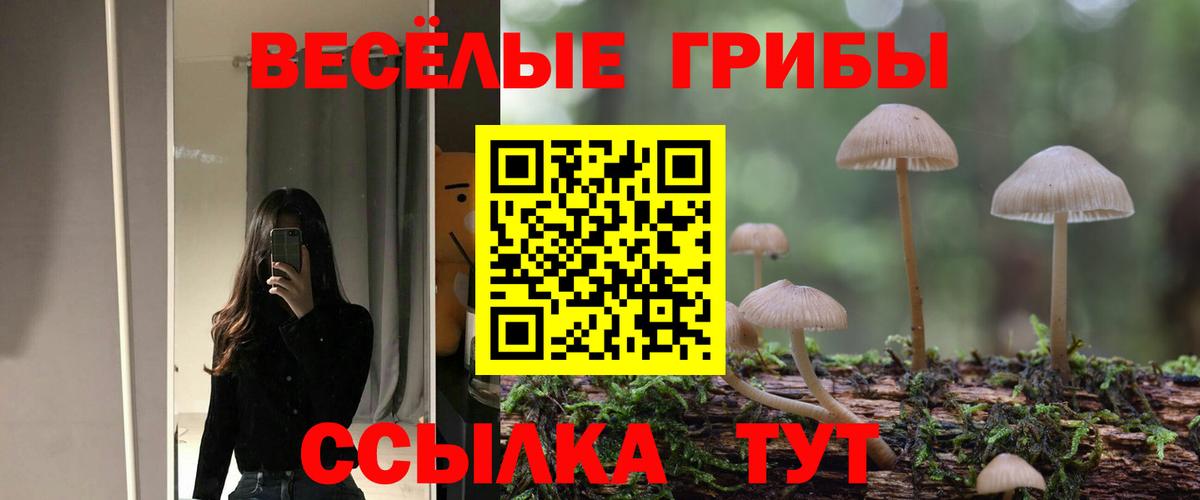 Галлюциногенные грибы GOLDEN TEACHER  Вход с VPN  Галлюциногенные грибы ЛСД  Новоалександровск 